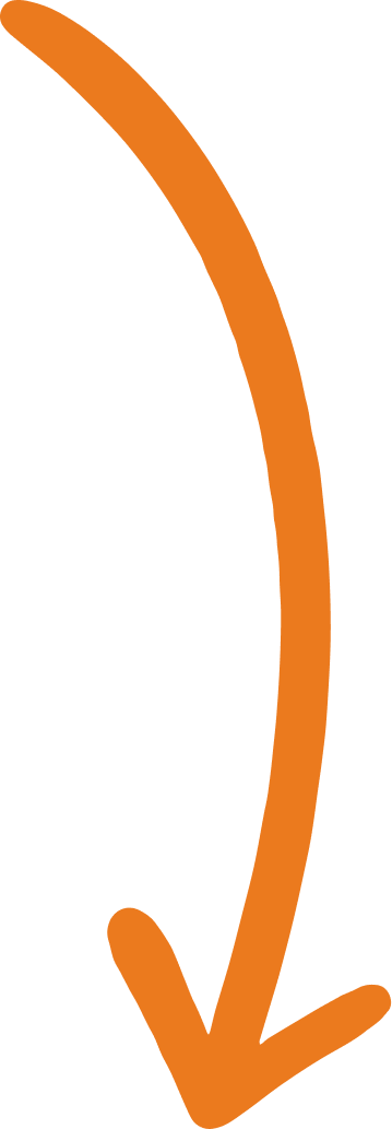 Vector (11)